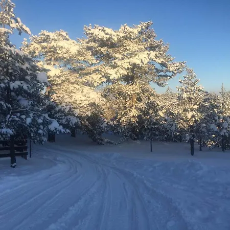 Tornik-planinska Kuca Zdravkovic *