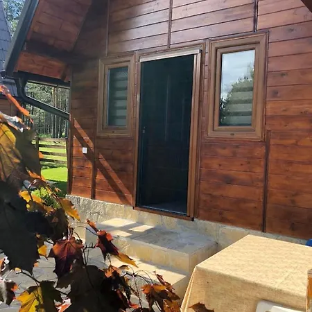 Tornik-planinska Kuca Zdravkovic Ferienhaus *