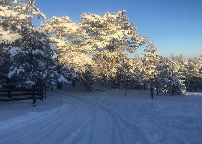 Tornik-planinska Kuca Zdravkovic *