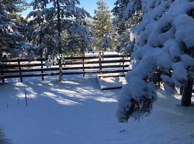 Tornik-planinska Kuca Zdravkovic *